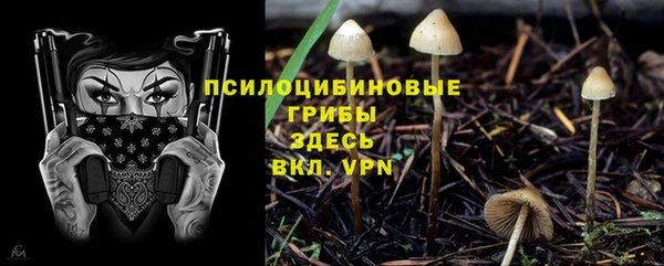 дмт Кулебаки