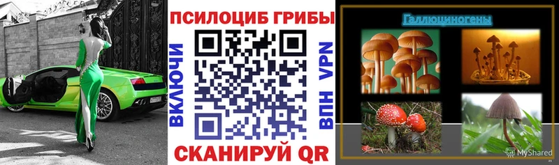 Галлюциногенные грибы GOLDEN TEACHER  Купить закладки  Голицыно 